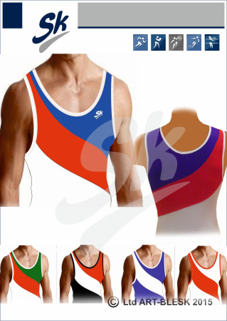 sk заготовка41