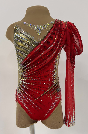 IMG_9981 (1) IMG_9981 (1)